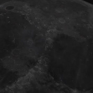 Meet your Posher, Antonio